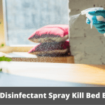 Can Disinfectant Spray Kill Bed Bugs