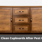 How To Clean Cupboards After Pest Control