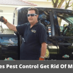 Does Pest Control Get Rid Of Mice